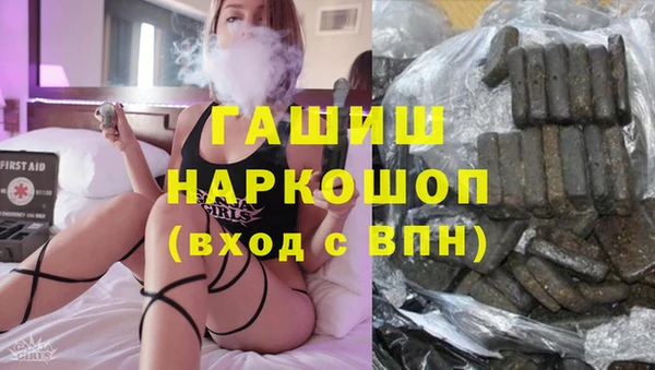 хмурый Алексин