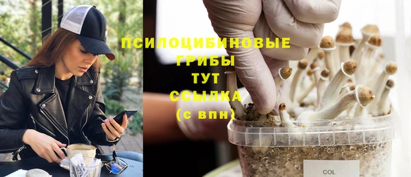марки lsd Алексеевка