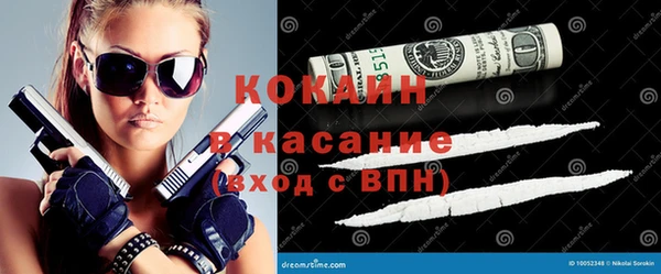 хмурый Алексин