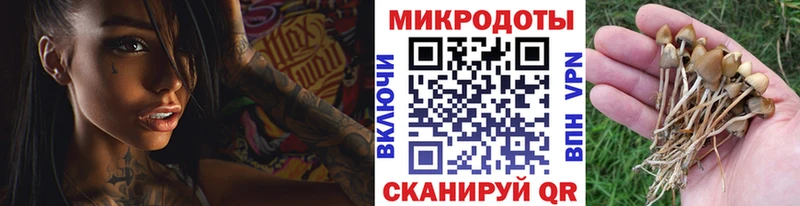 Галлюциногенные грибы прущие грибы  Еманжелинск 