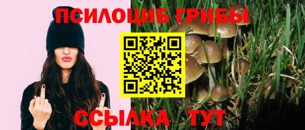 Еманжелинск  Галлюциногенные грибы Magic Shrooms  Галлюциногенные грибы прущие грибы  Вход с VPN 
